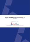 AmCham - Survey of the Business Environment in Croatia - 2022