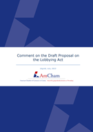Comment on the Draft Proposal on the Lobbying Act