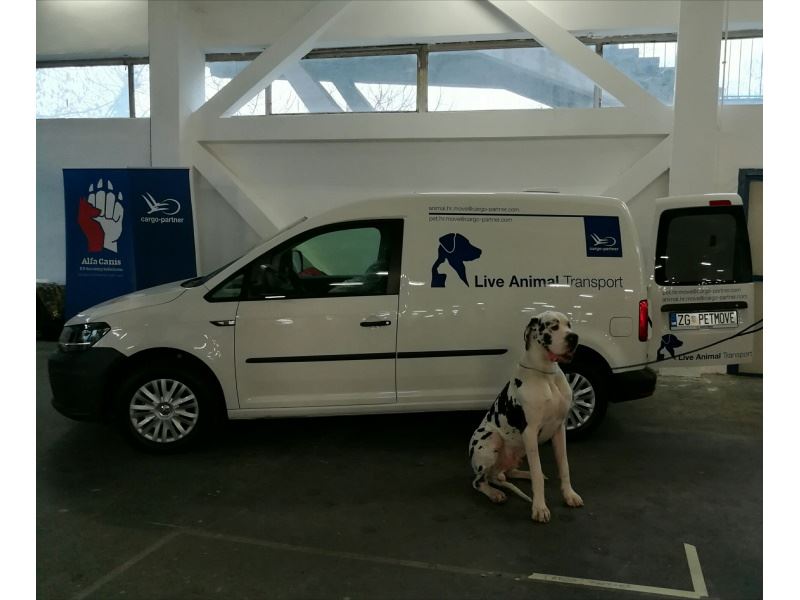 Pet-Friendly Forwarder” cargo-partner Provides Expertise and Advice on  International Pet Transport – AmCham Croatia - Američka gospodarska komora  u Hrvatskoj