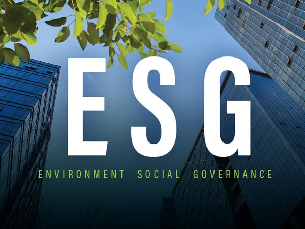 Join AmCham's ESG Task Force